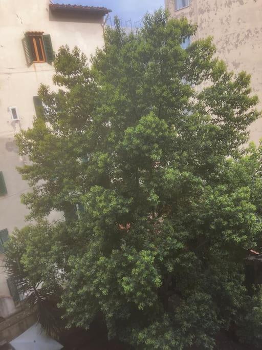 Borgognissanti Ollie's In Centro A Firenze